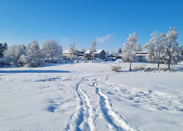 Top Modernes Appartement Mit Blick Ins Gruene