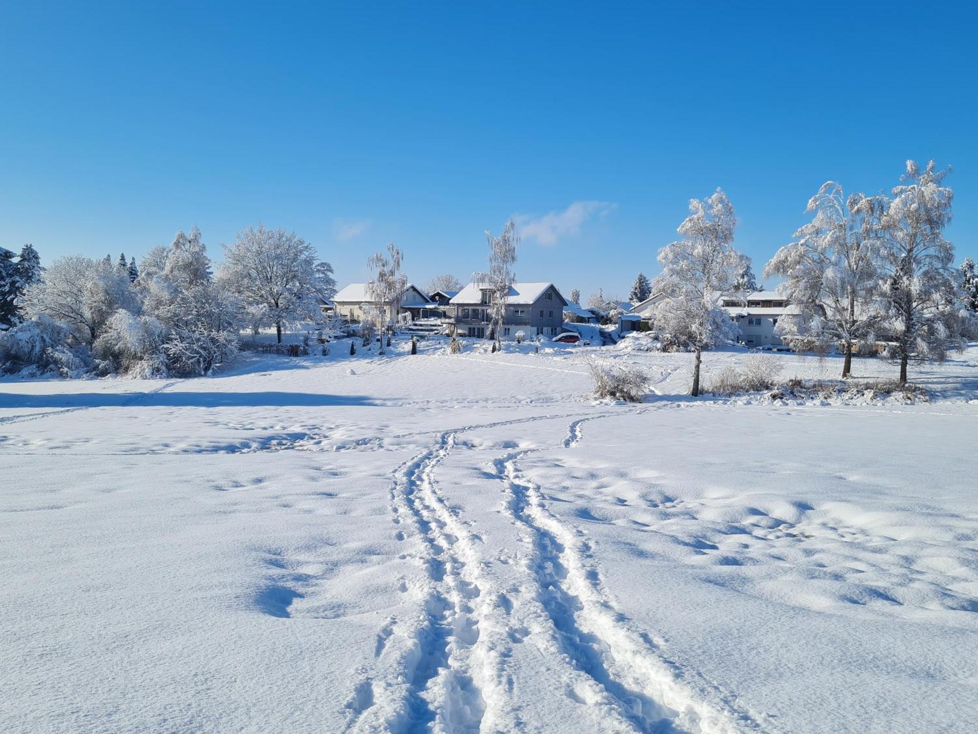 Modernes Mit Blick Ins Gruene